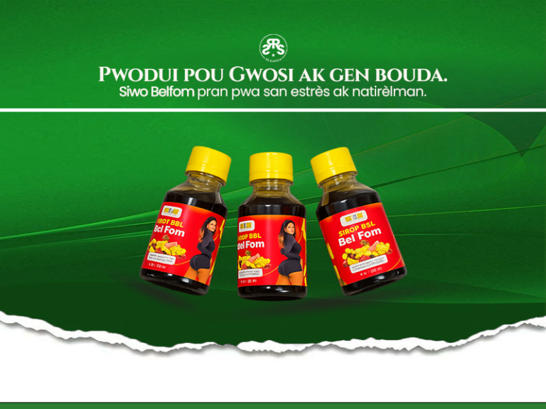 devoir site blog ( siwo)